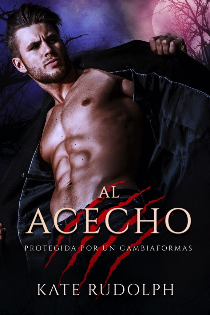 Book Cover: Al Acecho